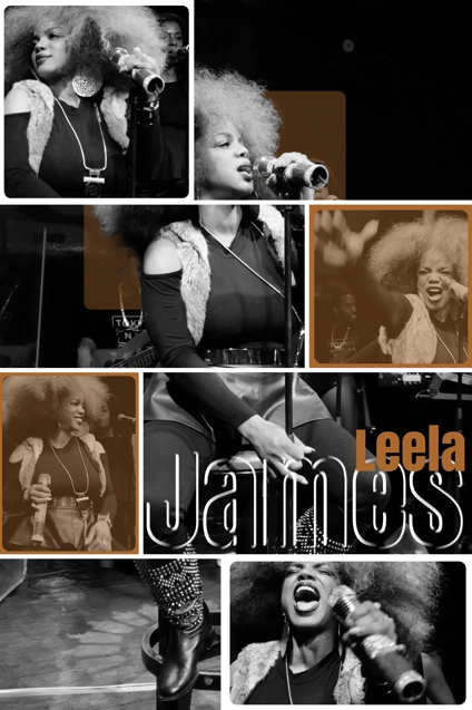 Affiche ou visuel pour concert composé de photos d'une chanteuse assemblées dans une grille