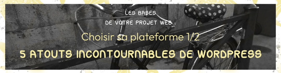 Choisir sa plateforme 1/2 | WordPress et les autres